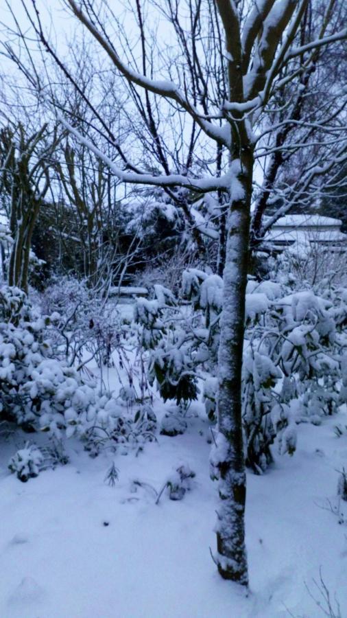 Mountain Ash Panzió Horncastle  Kültér fotó